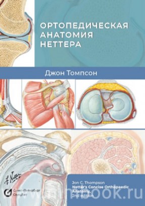 Томпсон Дж. - Ортопедическая анатомия Неттера