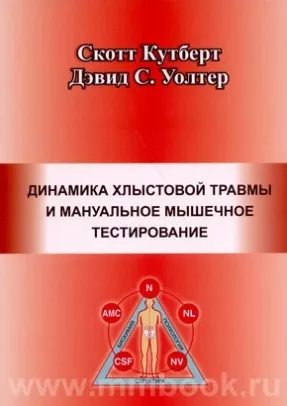 Динамика хлыстовой травмы и мануальное мышечное тестирование