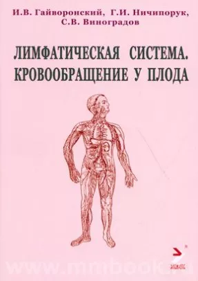 Лимфатическая система. Кровообращение у плода: учебное пособие