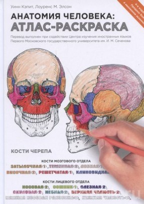 Анатомия человека: атлас-раскраска 