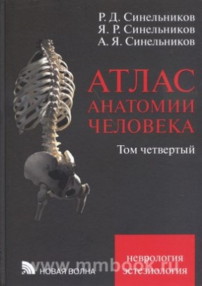 Атлас анатомии человека в 4-х т. Том 4