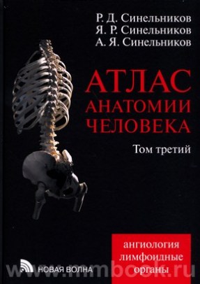 Атлас анатомии человека в 4 томах, том 3
