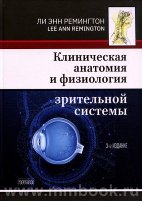 Клиническая анатомия и физиология зрительной системы