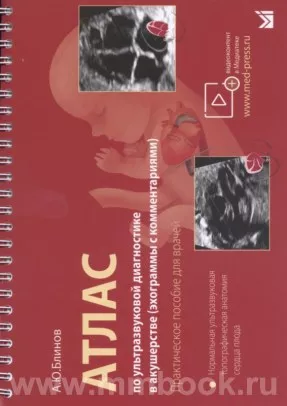 978-5-907760-81-3.jpg