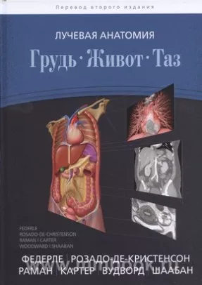 Лучевая анатомия. Грудь, живот, таз