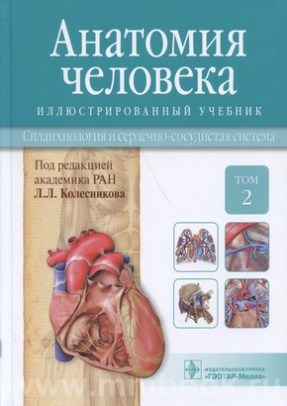Анатомия человека: иллюстр. учебник : в 3 т. : Т. 2. Спланхнология и сердечно-сосудистая система