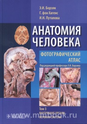 Анатомия человека