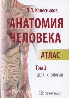 Анатомия человека : атлас : в 3 т. Т. 2. Спланхнология