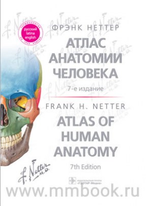 Атлас анатомии человека 7-е изд.