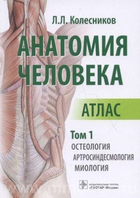 Анатомия человека : атлас : в 3 т. Т. 1. Остеология, артросиндесмология, миология