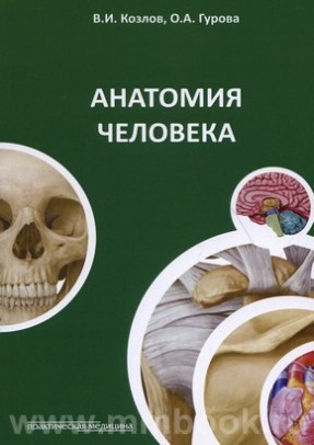 Анатомия человека : учебное пособие для студентов медицинских вузов