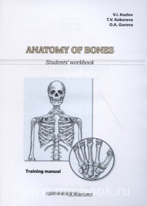 Anatomy of Bones. Students workbook. Анатомия скелета. Рабочая тетрадь
