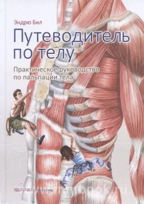 Путеводитель по телу
