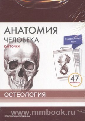 Анатомия человека: Карточки (47шт). Остеология. Русские и латинские названия анатомических структур