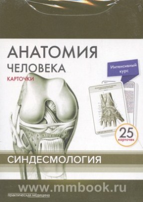 Анатомия человека: Карточки (25шт). Синдесмология. Русские и латинские названия анатомических структур
