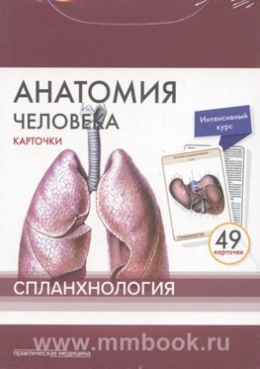 Анатомия человека : карточки.(49 шт) Спланхнология. Русские и латинские названия анатомических структур