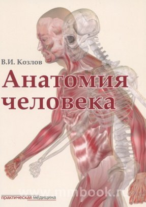 Анатомия человека. Учебник для медицинских вузов. ГРИФ Координационного совета Сеченовского университета