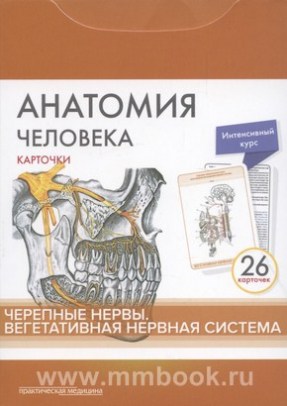 Анатомия человека: карточки (26 шт). Черепные нервы. Вегетативная нервная система