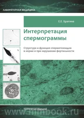 Интерпретация спермограммы. Структура и функция сперматозоидов в норме и при нарушении фертильности