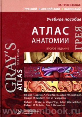 Атлас анатомии Грея : Учебное пособие 2-е изд. (русский, английский, латинский)