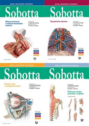 Sobotta. Атлас анатомии человека. Комплект 3 тома плюс таблицы